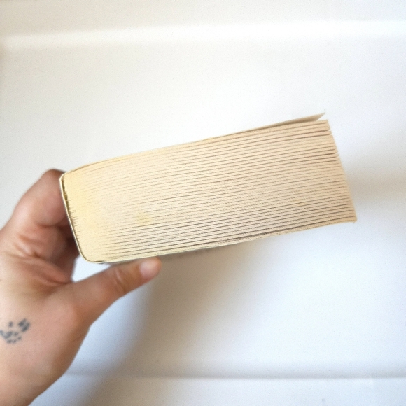 Wizardborn by David Farland Paperback Book - Picture 6 of 8